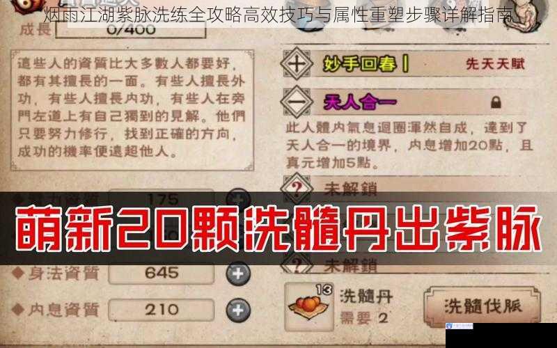 烟雨江湖紫脉洗练全攻略高效技巧与属性重塑步骤详解指南