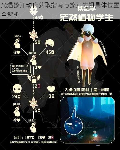 光遇擦汗动作获取指南与擦汗先祖具体位置全解析
