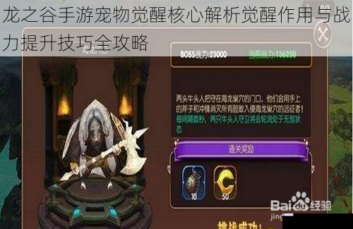 龙之谷手游宠物觉醒核心解析觉醒作用与战力提升技巧全攻略
