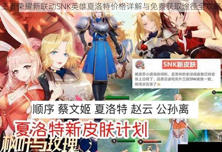 王者荣耀新联动SNK英雄夏洛特价格详解与免费获取途径全攻略