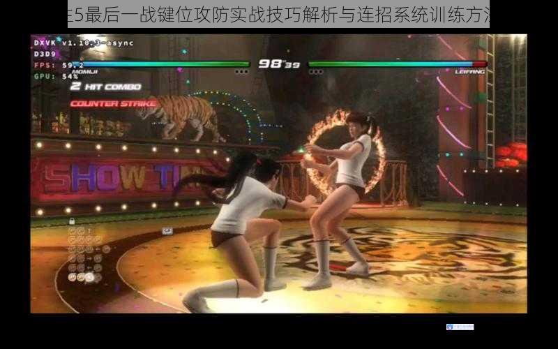 死或生5最后一战键位攻防实战技巧解析与连招系统训练方法详解