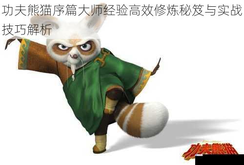功夫熊猫序篇大师经验高效修炼秘笈与实战技巧解析