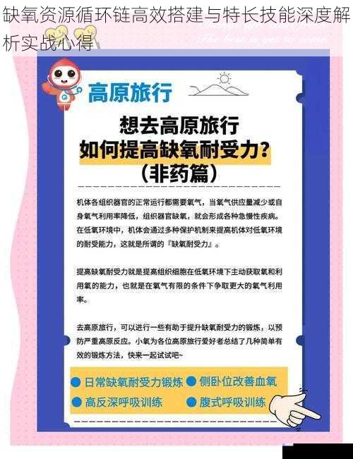 缺氧资源循环链高效搭建与特长技能深度解析实战心得