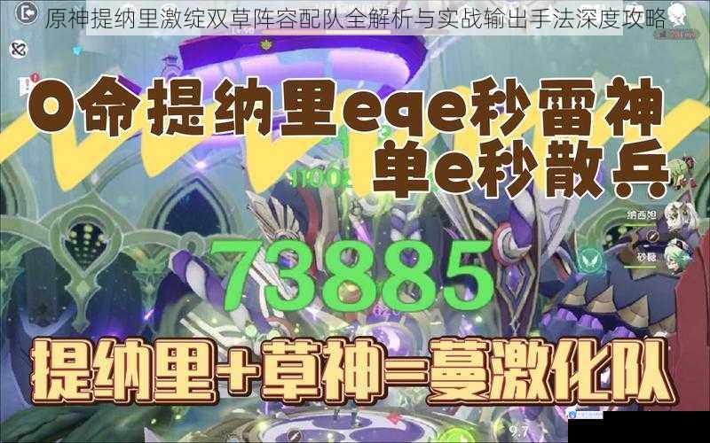 原神提纳里激绽双草阵容配队全解析与实战输出手法深度攻略
